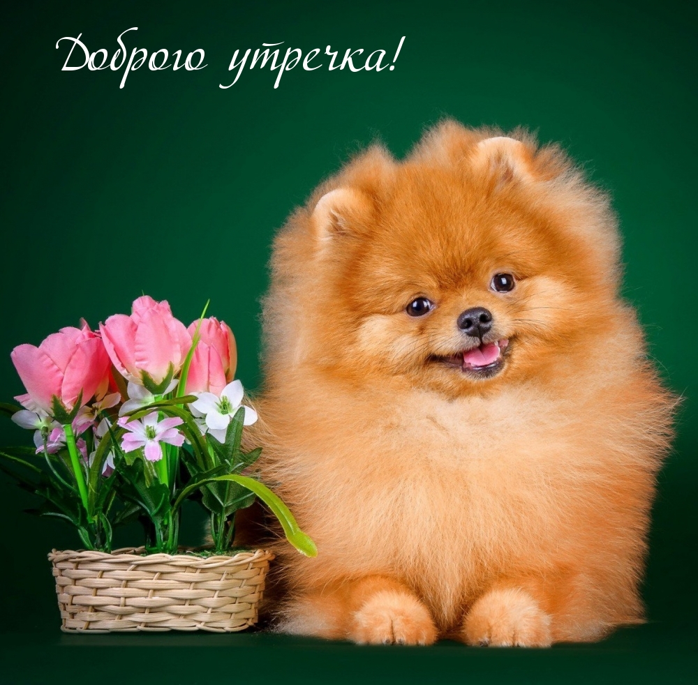  !