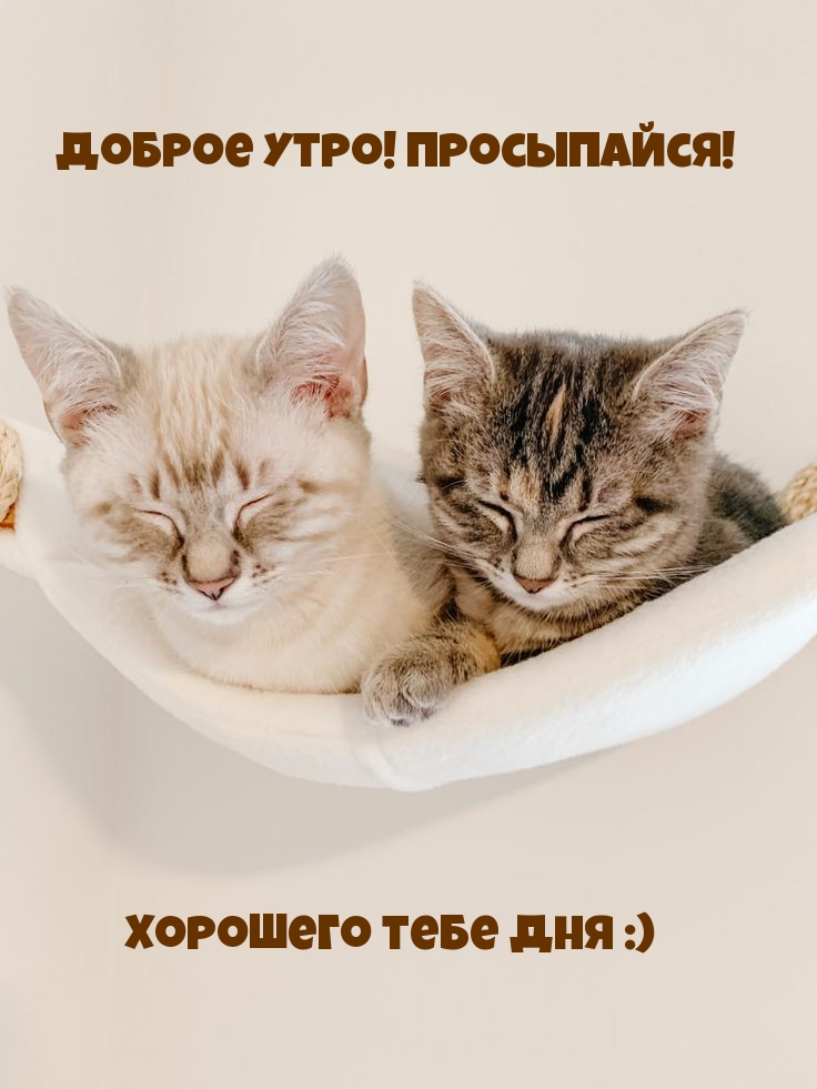  ! !    :)