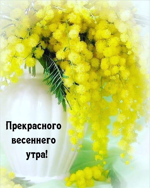 ����������� ��������� ����!