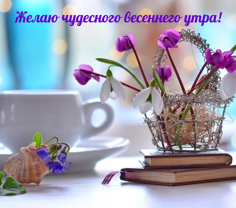 Желаю чудесного весеннего утра! Желаю чудесного весеннего утра!
