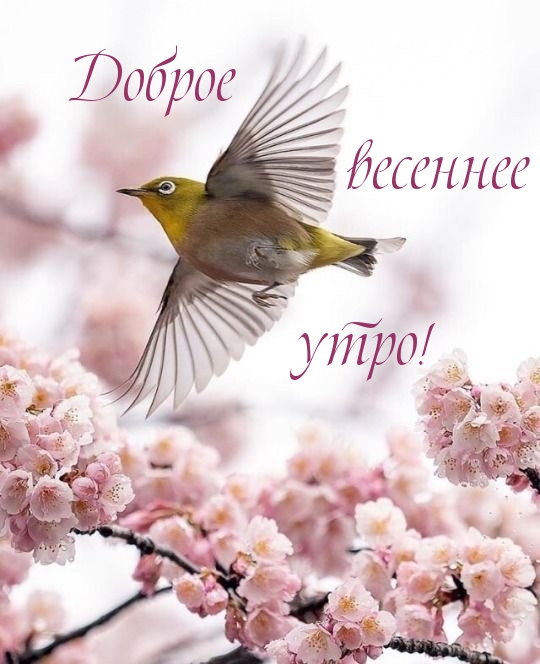   !