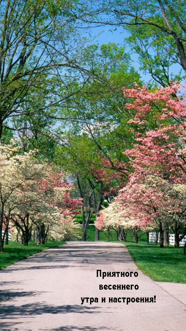 Приятного весеннего утра и настроения! Приятного весеннего утра и настроения!