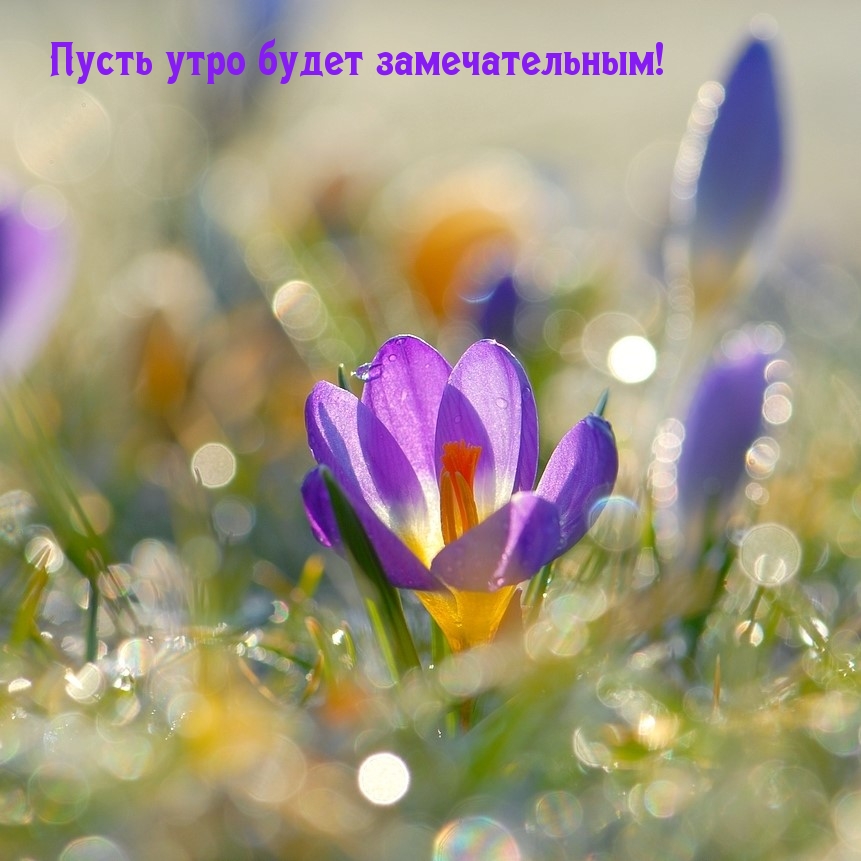 ����� ���� ����� �������������!