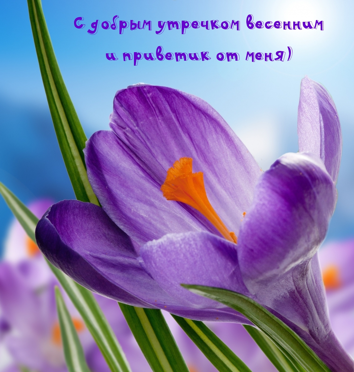 С добрым утречком весенним и приветик от меня) С добрым утречком весенним и приветик от меня)