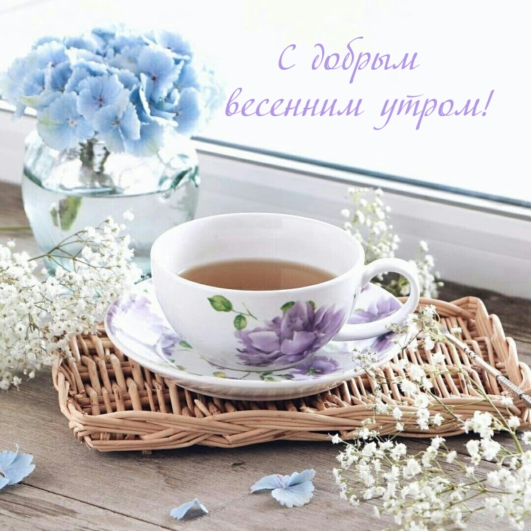Красивые весенние картинки: "Доброе утро!" (371 шт.)