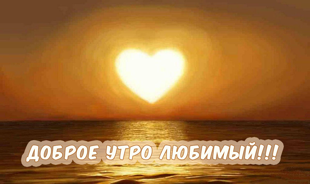Открыть в полном размере Доброе утро, любимый