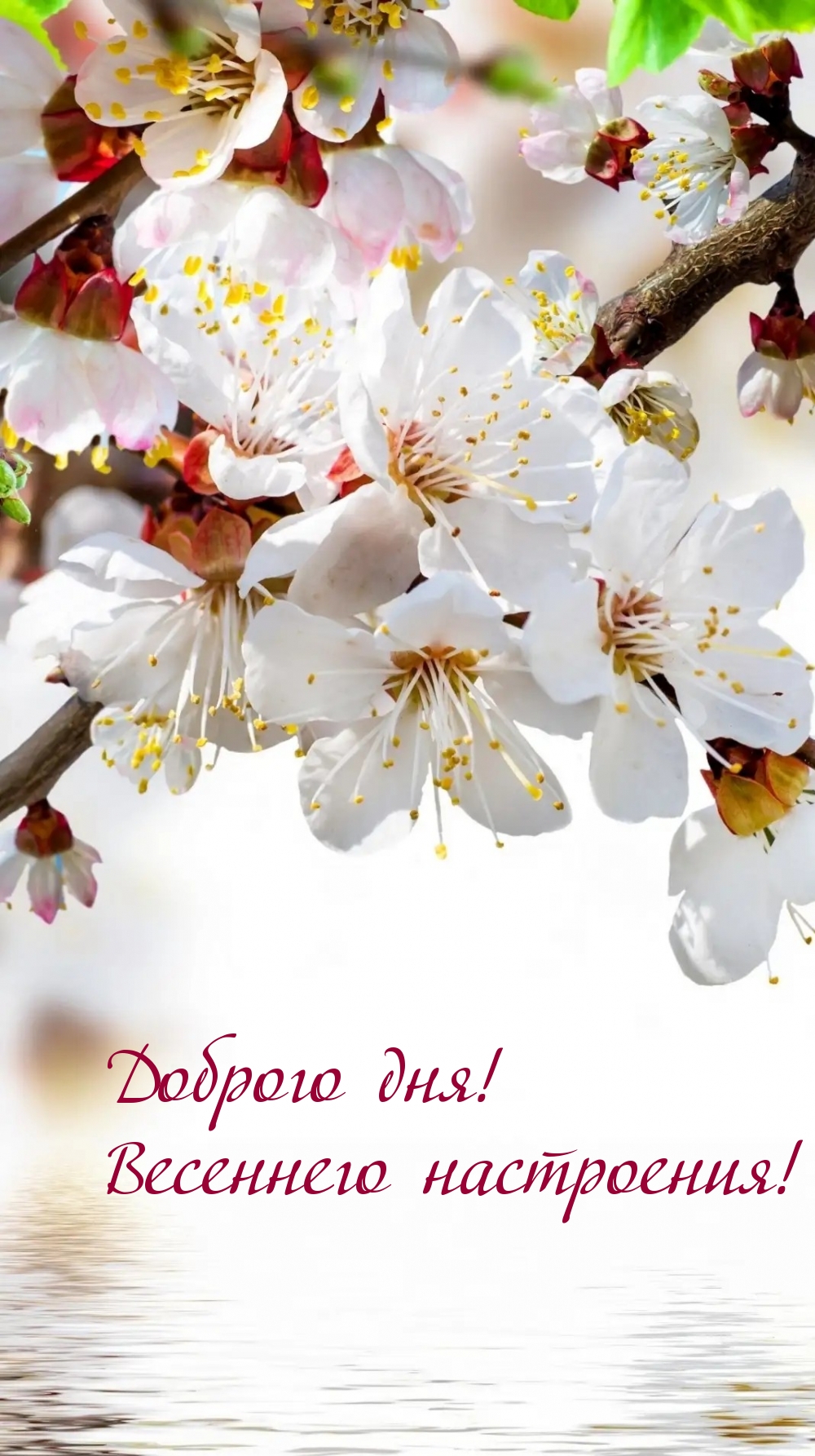 ������� ���! ��������� ����������!