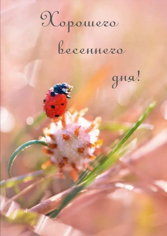 �������� ��������� ���!