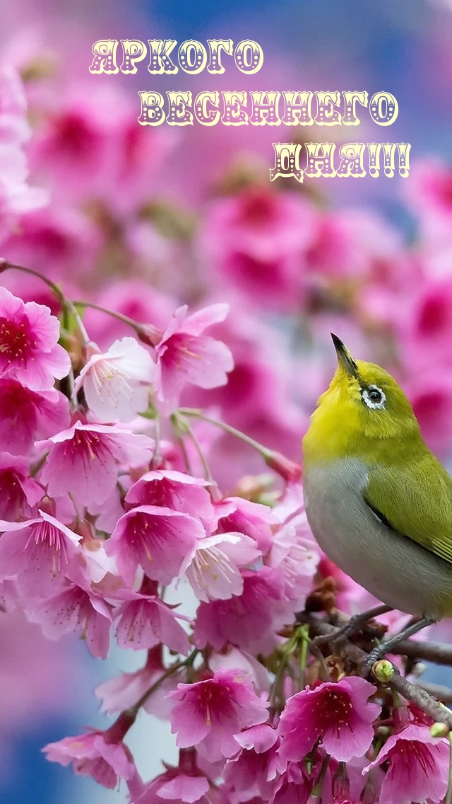 ������ ��������� ���!