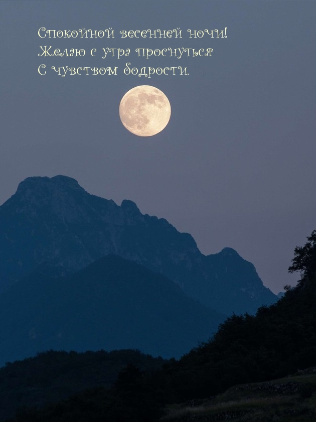 Спокойной весенней ночи! 