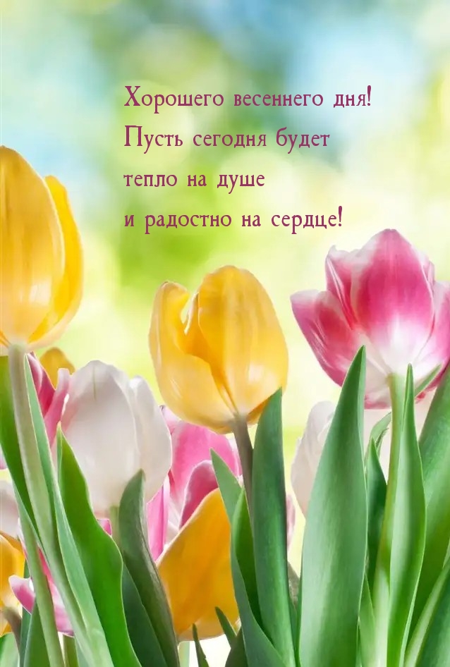 �������� ��������� ���! �������������