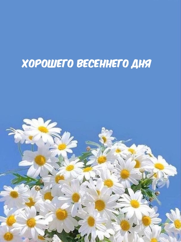 �������� ��������� ���