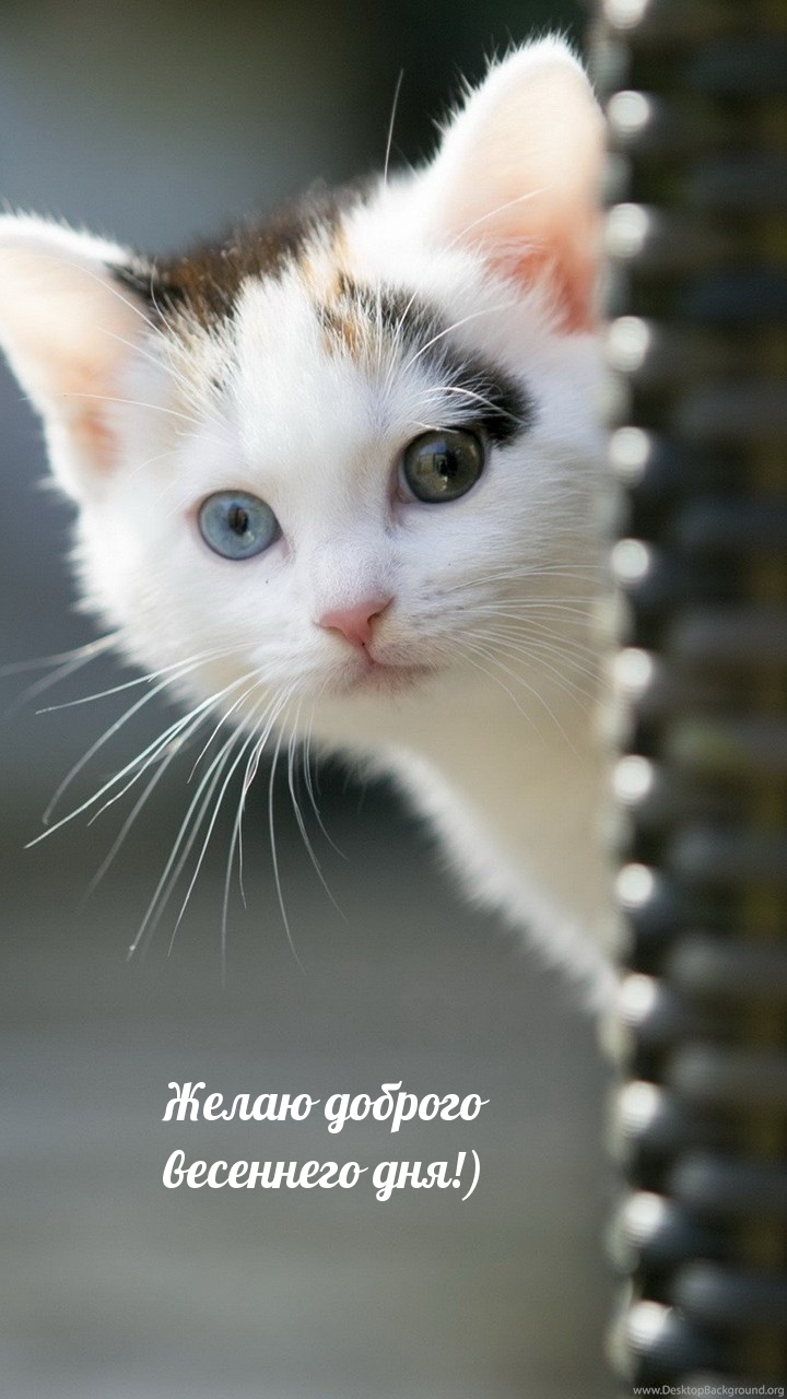 ����� ������� ��������� ���!)