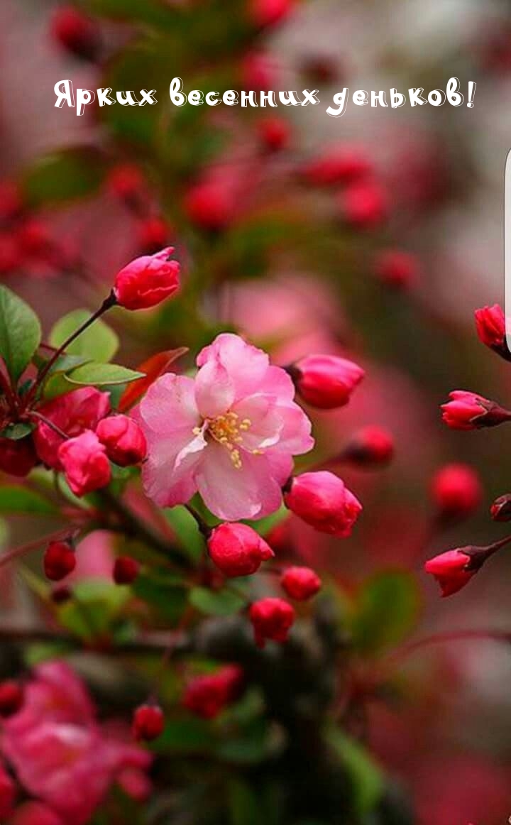 ����� �������� �������!