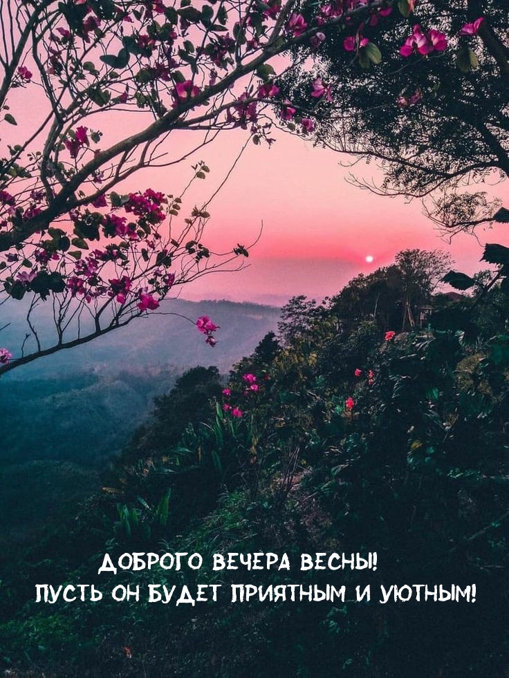   !    