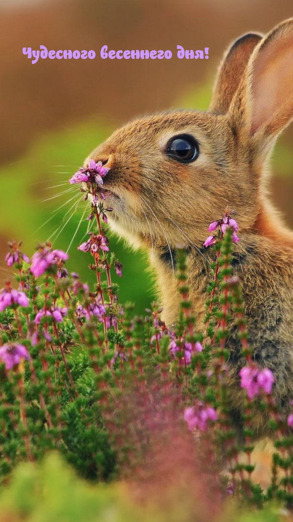 ��������� ��������� ���!