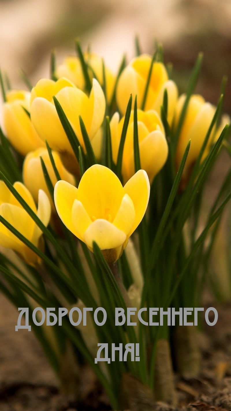 ������� ��������� ���!