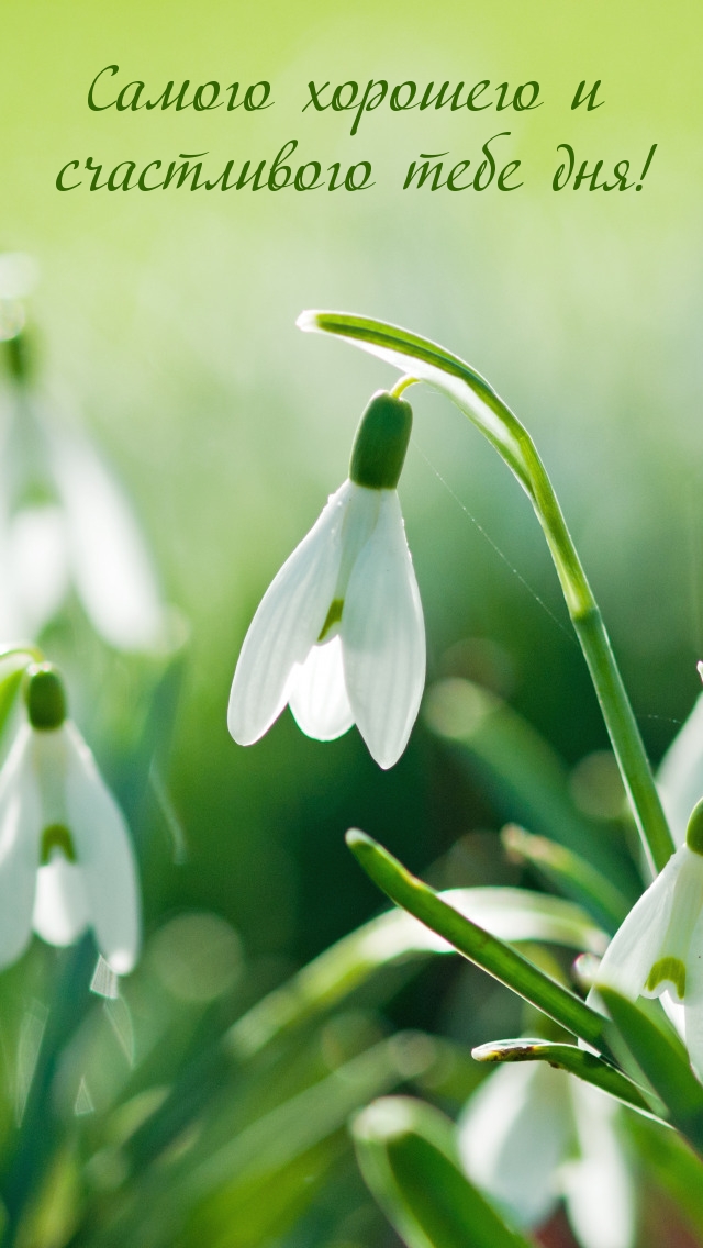 ������ �������� � ����������� ���� ���!