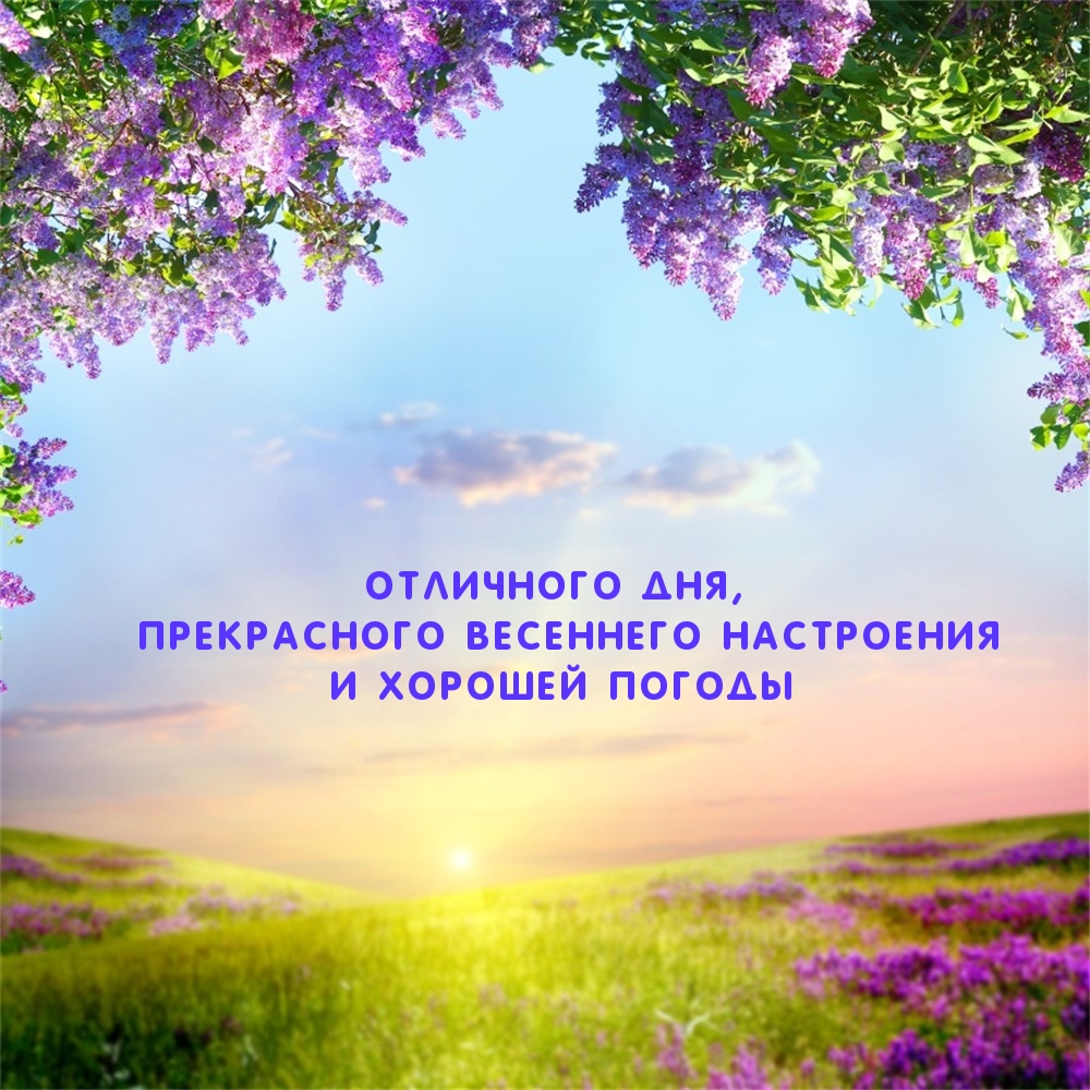 ��������� ���, ����������� ��������� ���������� � ������� ������ 