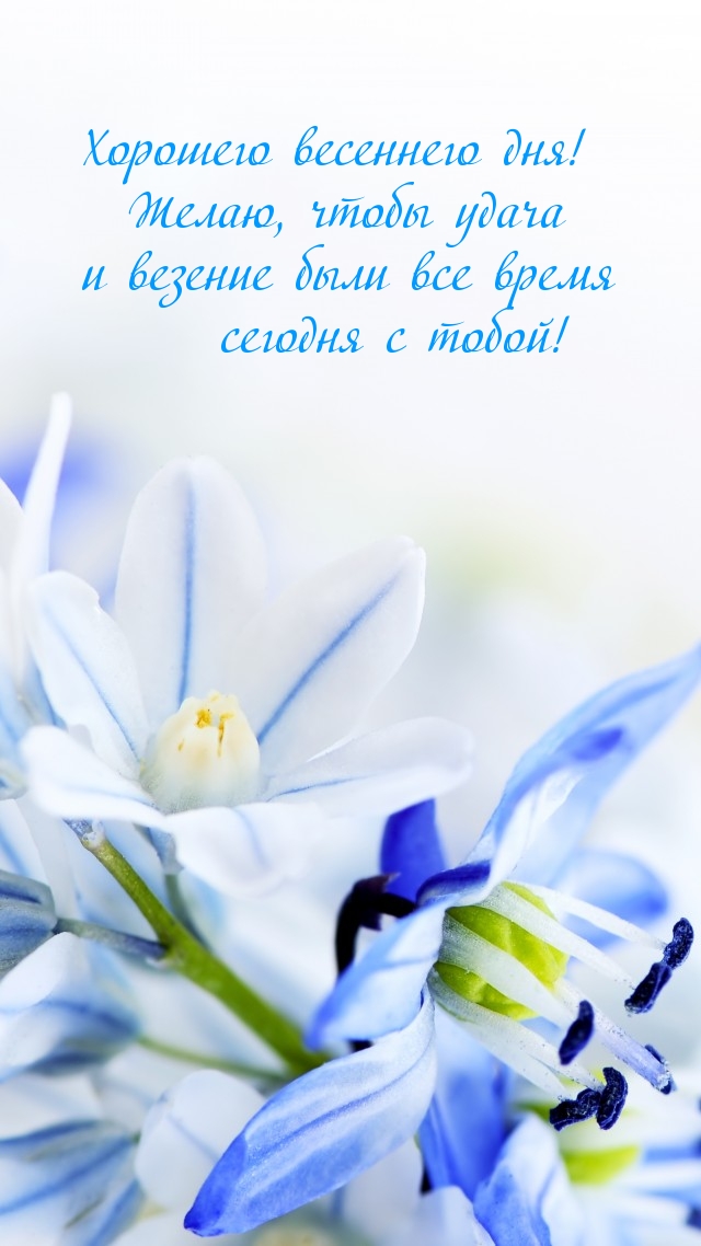 �����, ����� ����� � ������� ���� ��� ����� � �����!