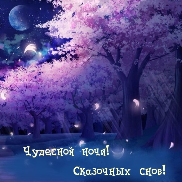  !  !