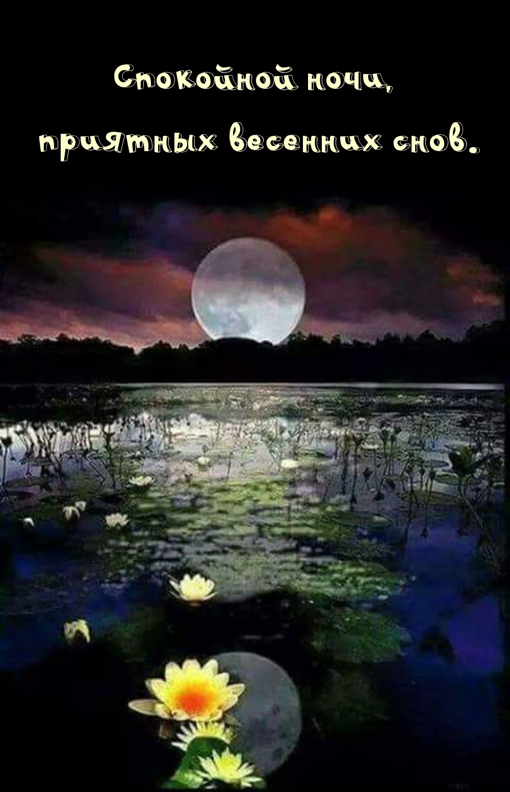  ,   .