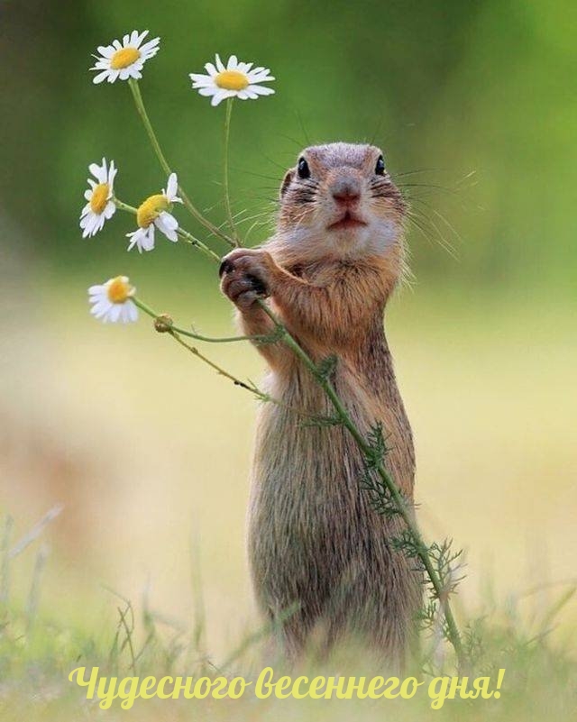 ��������� ��������� ���!