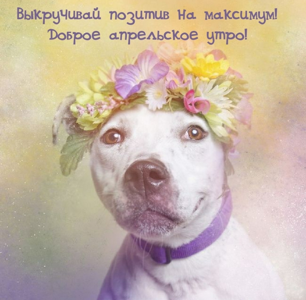    !   !