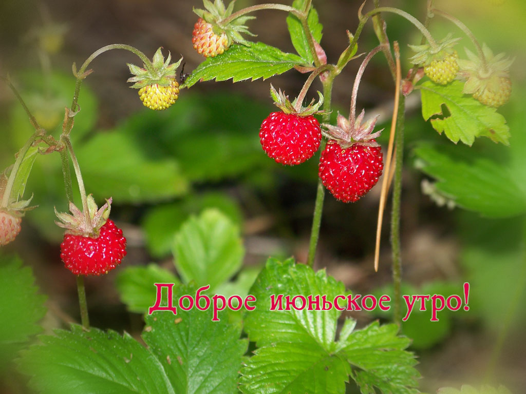 ������ ������� ����!