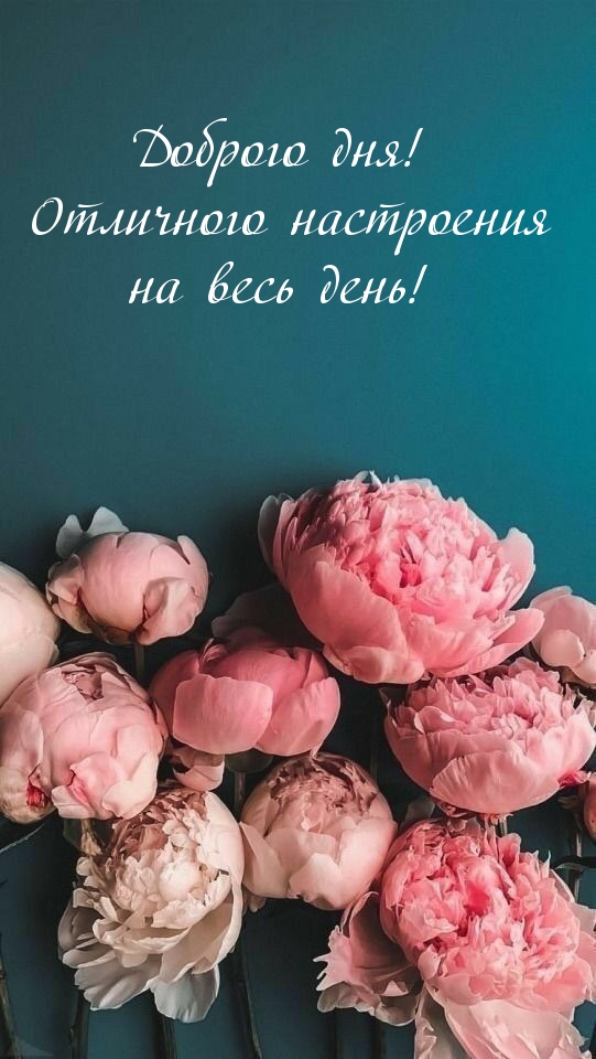  !     !