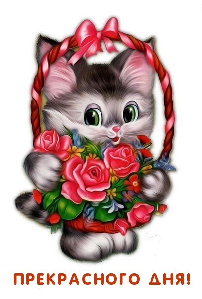 Прекрасного дня! Прекрасного дня!