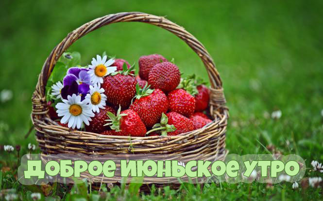 ������ �������� ����!