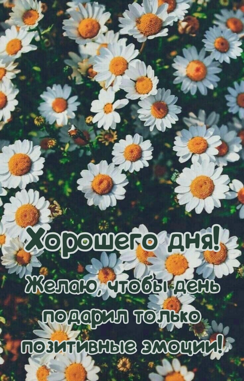  ! ,      !