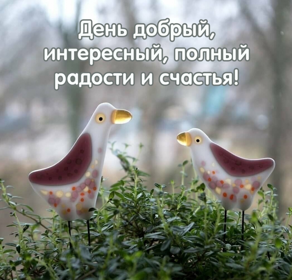 ���� ������, ����������, ������ ������� � �������!