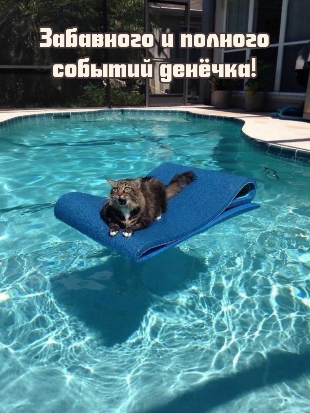     !
