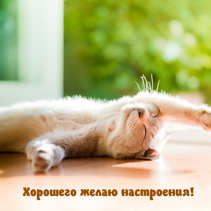 Открыть в полном размере Хорошего желаю настроения!