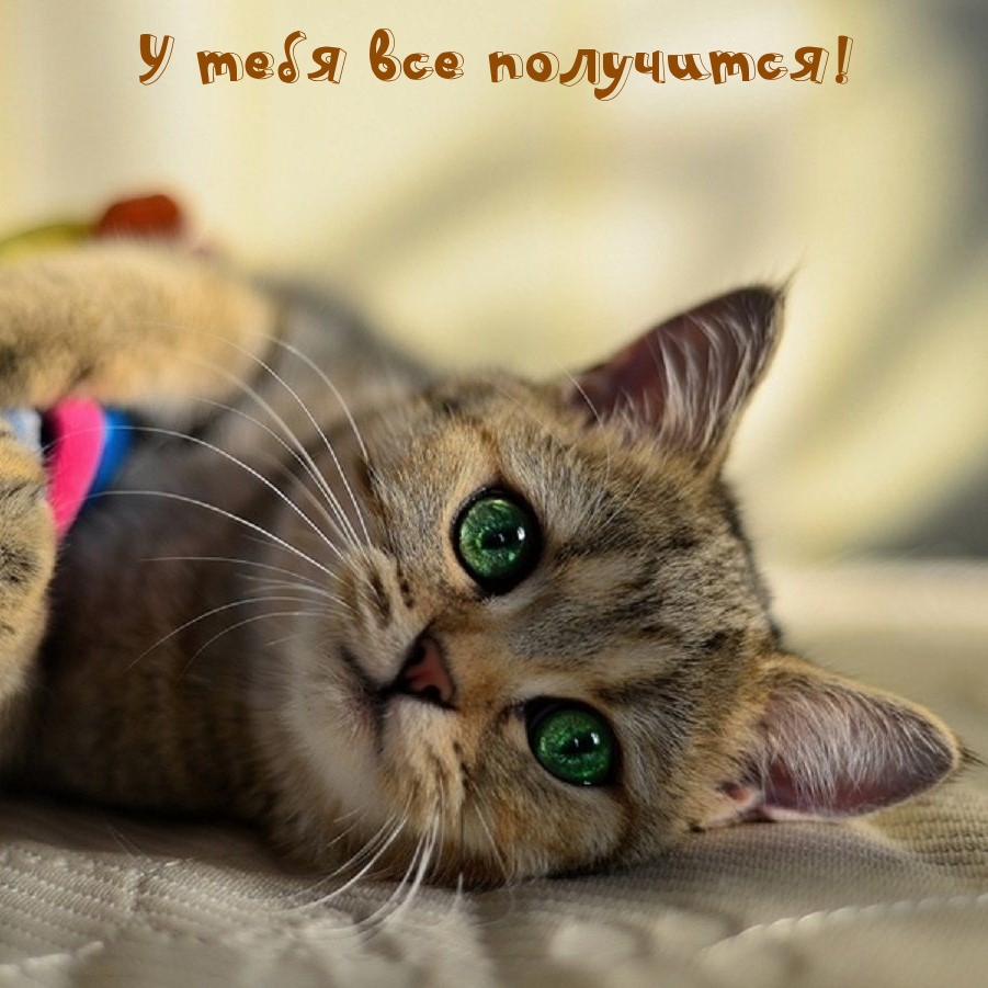 � ���� ��� ���������!