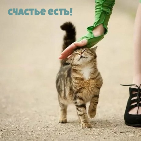  !