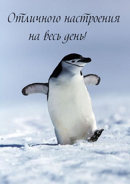     !