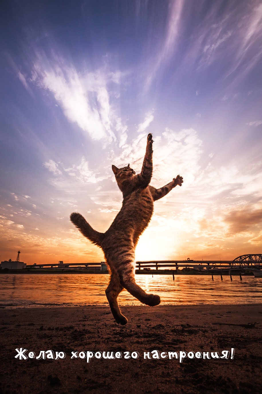 ����� �������� ����������!