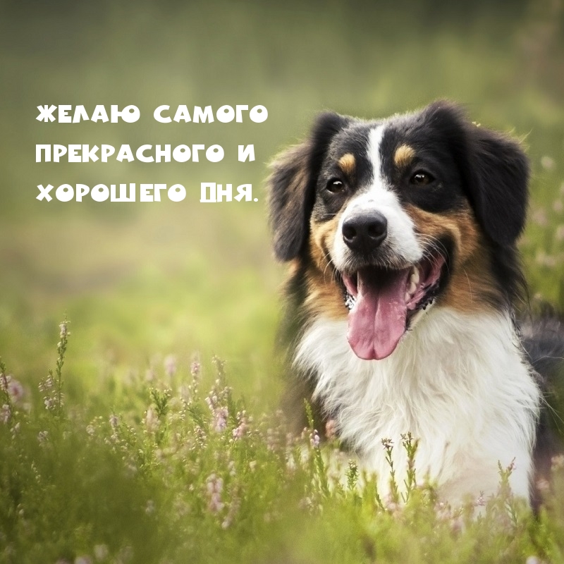 ����� ������ ����������� � �������� ���.