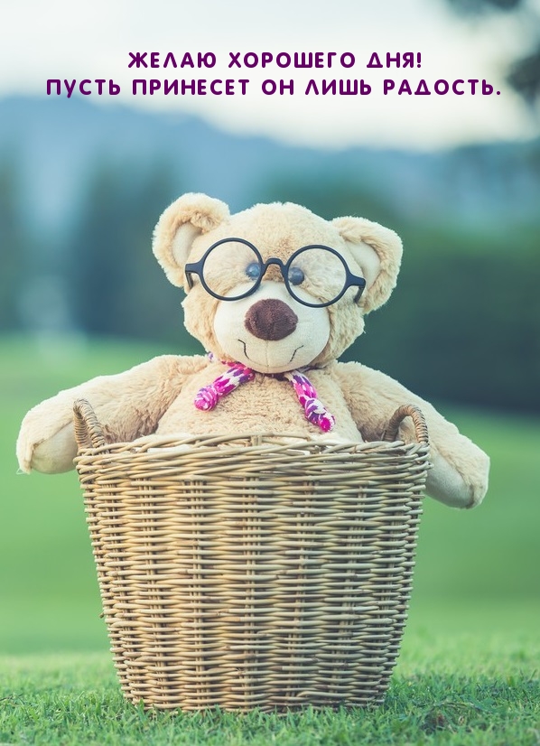 Открыть в полном размере Желаю хорошего дня! Пусть принесет он лишь радость.