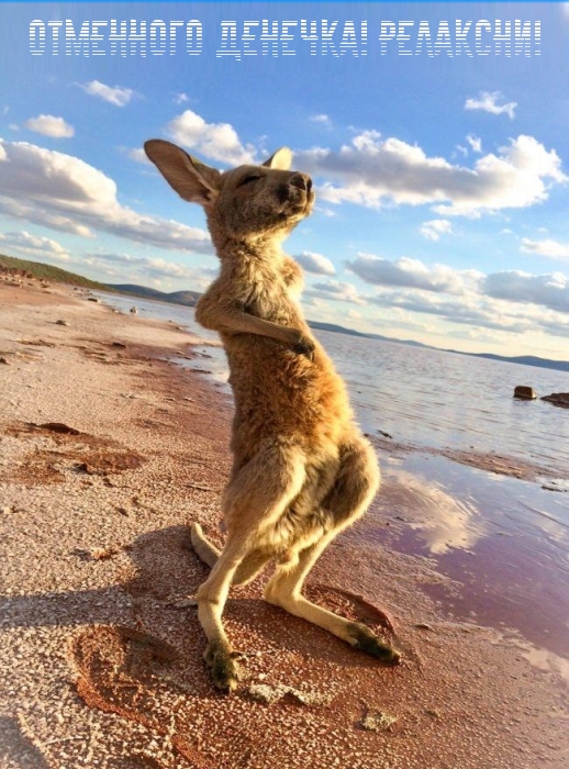 Отменного денечка! Релаксни! Отменного денечка! Релаксни!