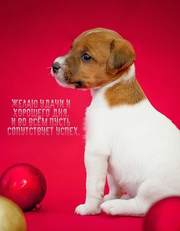 Желаю удачи и хорошего дня. И во всём пусть сопутствует успех. Желаю удачи и хорошего дня. И во всём пусть сопутствует успех.