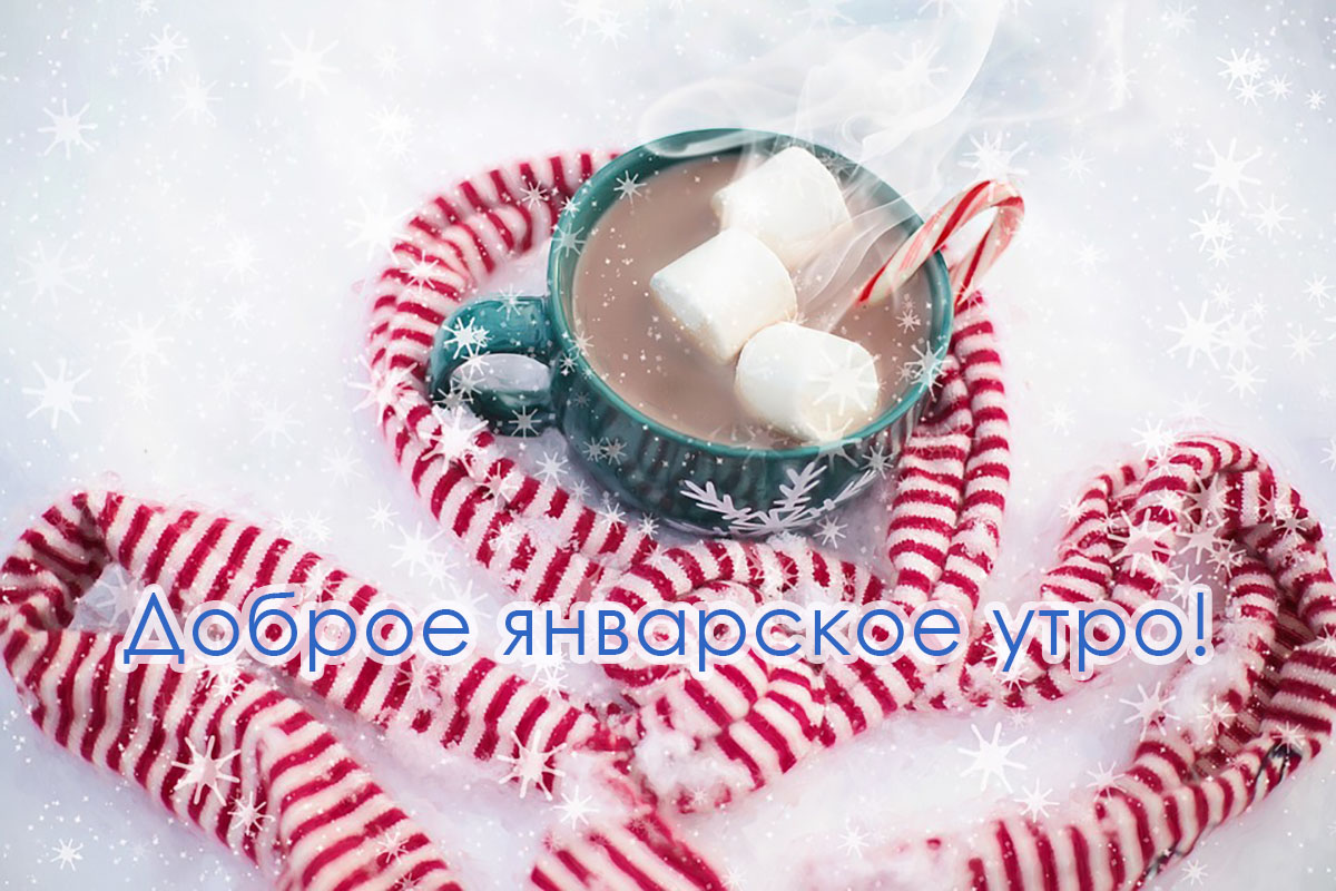 Доброе январское утро! Доброе январское утро!