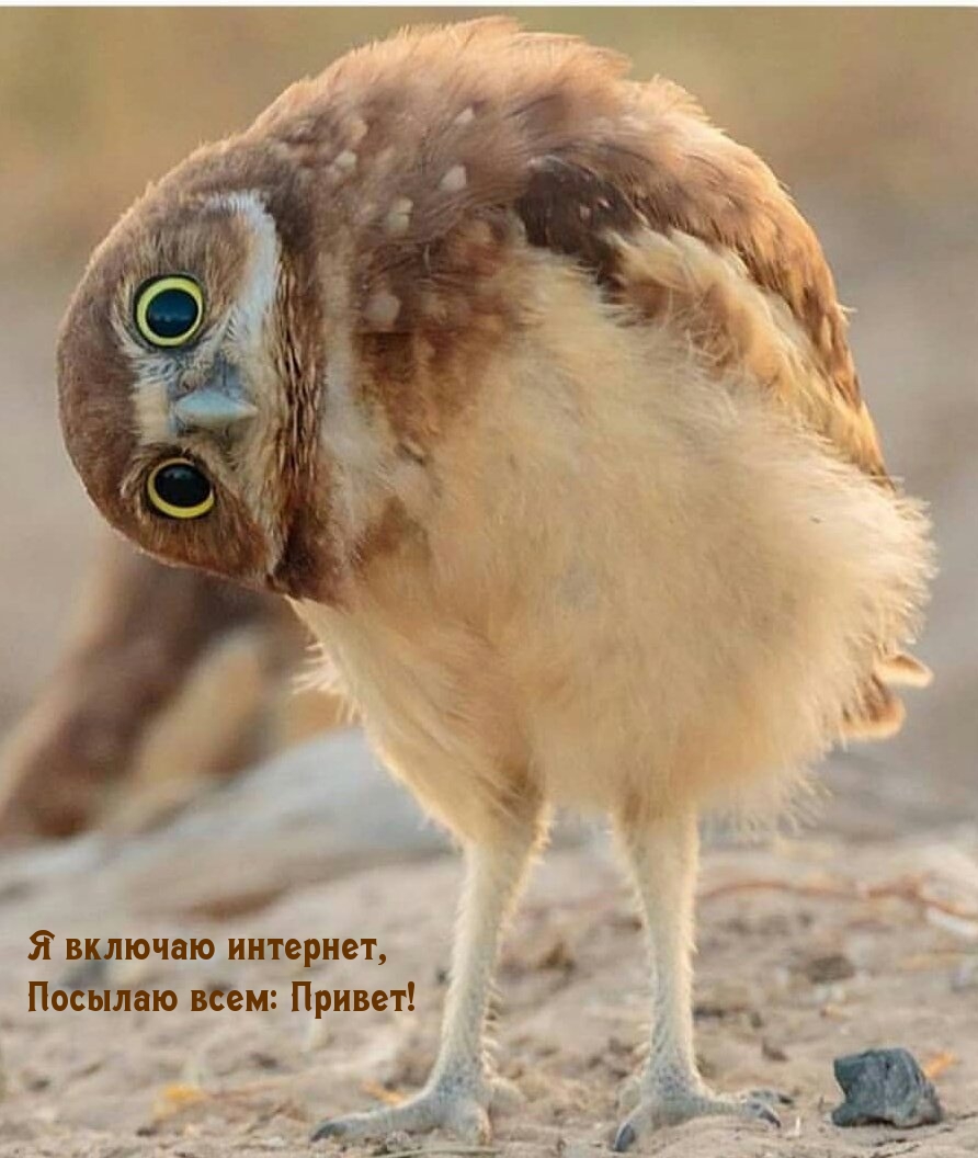   ,  : !