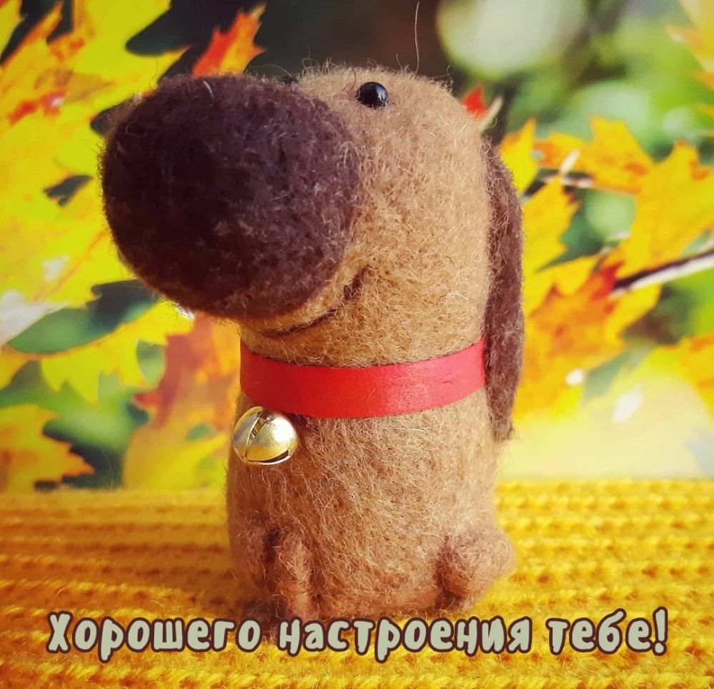   !