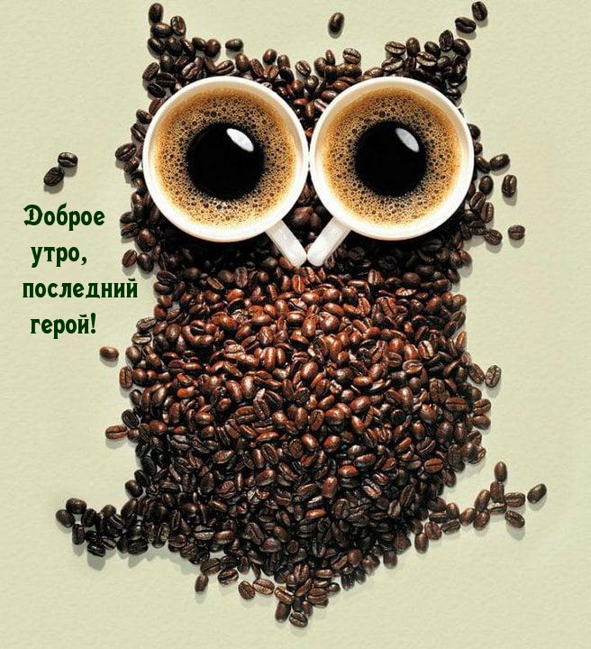 Открыть в полном размере Доброе утро, последний герой!