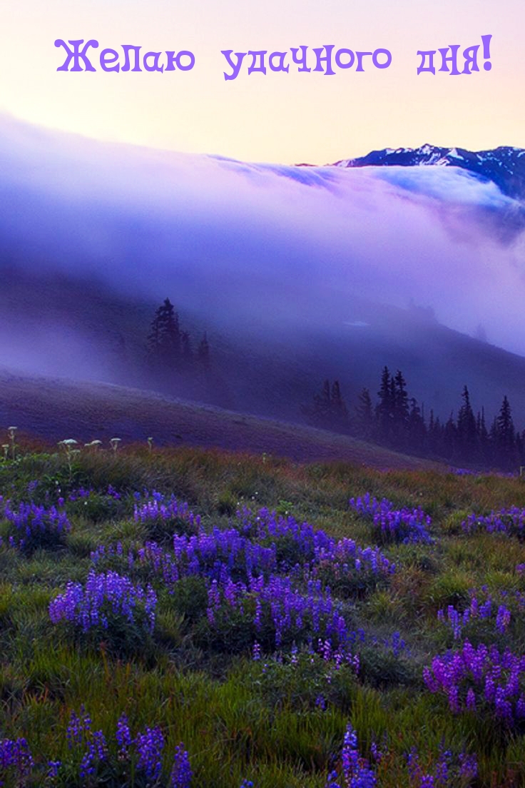 Открыть в полном размере Желаю удачного дня!