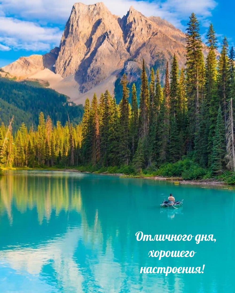  ,  !